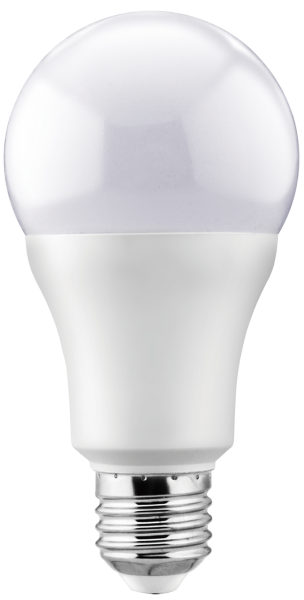 A65 15W Bulb