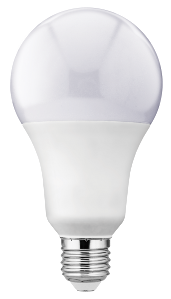 A80 20W BULB