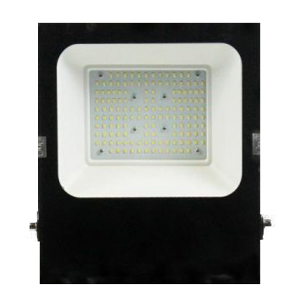 100W LED Flood Light